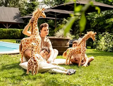Large giraffe plush toys